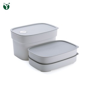 Famous Small Plastic Storage Box Manufacturer - Refrigerator Cooler – Younghome