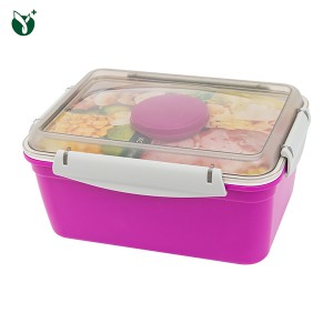 Famous Biodegradable Lunch Box Supplier - Sealed Fresh Salad Lunch Bento Box – Younghome