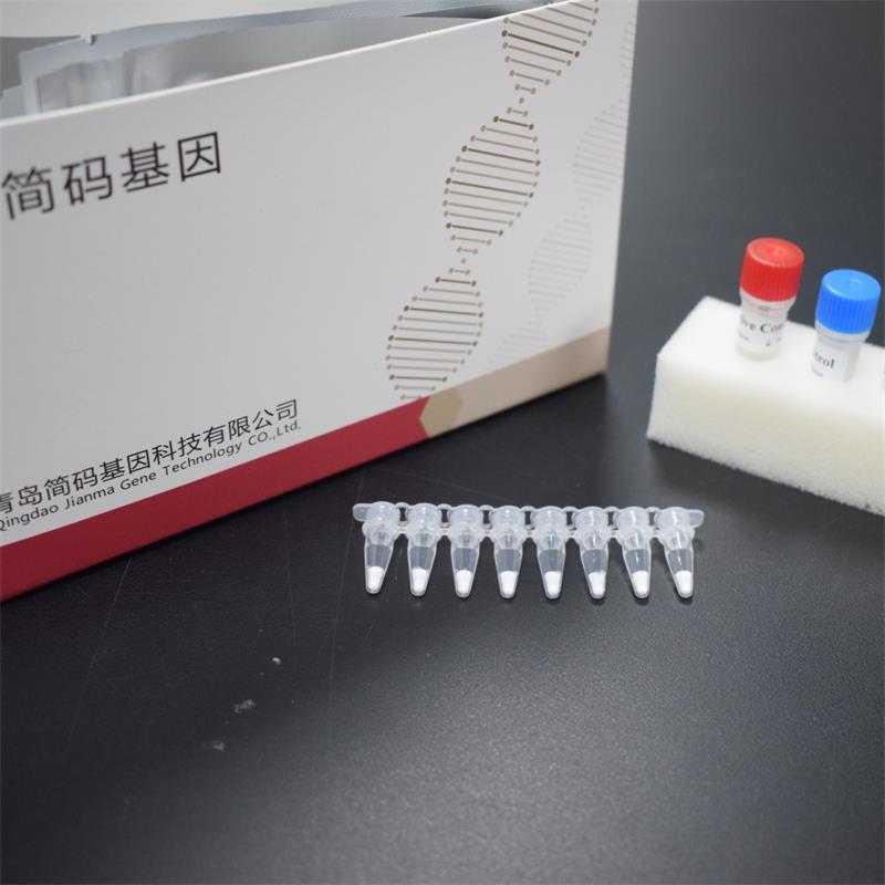 SARS-CoV-2 Nucleic Acid Detection Kit