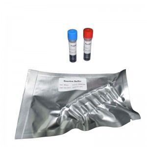 Manufactur standard China Medical Equipment Portable Real-Time PCR System DNA/Rna Extraction Kit