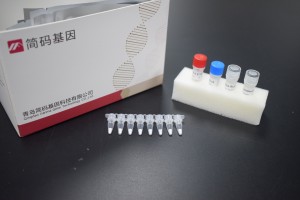 Low price for China One Step COVID Rapid Test Kit