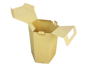 Design di imballaggio unico per scatole con maniglia esagonale
