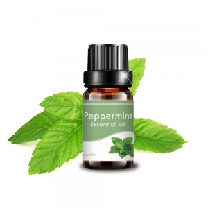 High Quality Private Label Essential Oil - manufacture supply therapeutic grade wholesale bulk 10ml peppermint oil – Zhongxiang
