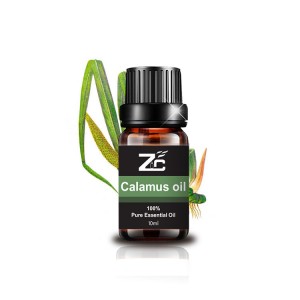 Calamus Essential Oil Used to Make Incense Crea...