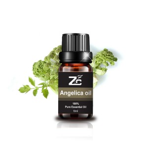 Wholesale Price Angelica Essential Oil For Boos...