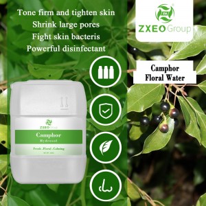Organic Ravintsara Hydrosol | Camphor Leaf Dist...