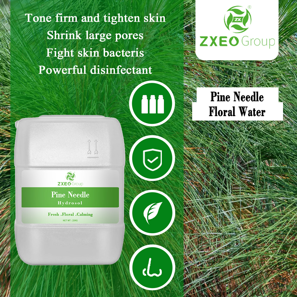 Organic Scotch Pine Needle Hydrosol | Scotch Fir Hydrolat – 100% Pure and Natural