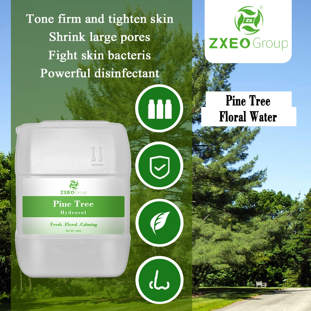 100% Pure and Organic Pine Tree Hydrosol at Bulk Wholesale Prices