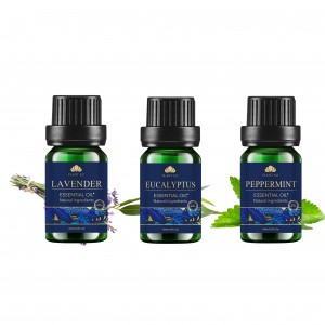 2022 Good Quality Essential Oils Starter Set - 2022 new private label essential oil set peppermint oil – Zhongxiang