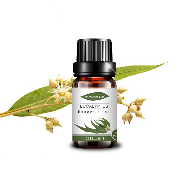 Eucalyptus Essential Oil Factory Wholesale for Aromatherapy Beauty Spa