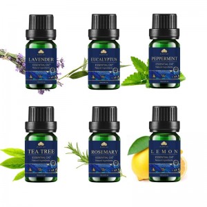 Professional China Chakra Essential Oil Set - OEM ODM new design essential oil set lemon essential oil – Zhongxiang