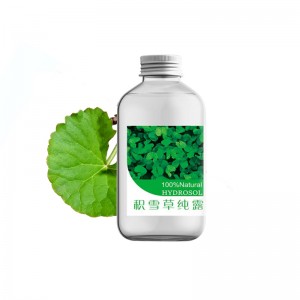 Best quality Canvas Rose Otto Pure Rose Otto Hydrosol - Pure Centella Hydrosol for skin body care anti wrinkles – Zhongxiang