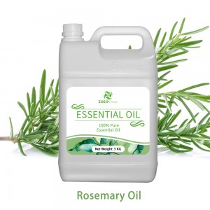 Rosemary Essential Oil for Hair Growth