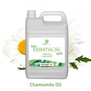 Chamomile Oil Original Manufacturing of Essenti...