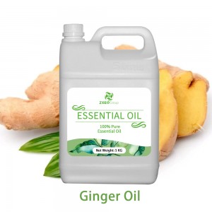 Ginger Oil Hair Growth Essential Oil For Hair Loss