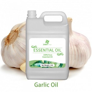 Organic Garlic Essential Oil At Best Market Price