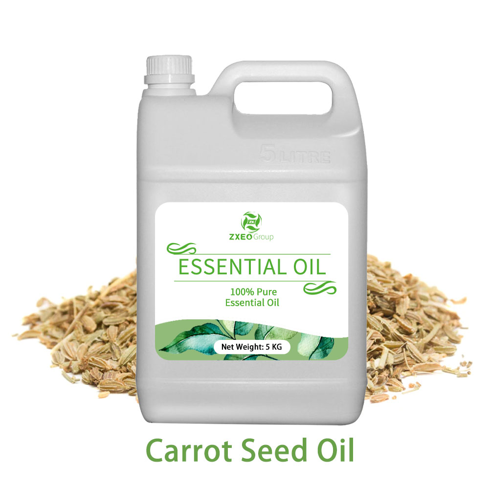 Carrot Seed Oil Manufacturer Essential Oil
