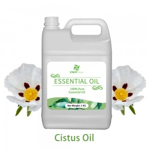 Cistus Essential Oil Manufacture For Oily And A...