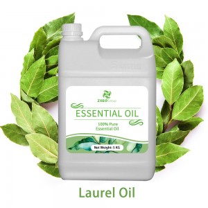Laurel Oil 100% Pure Natural Essential oil Best...