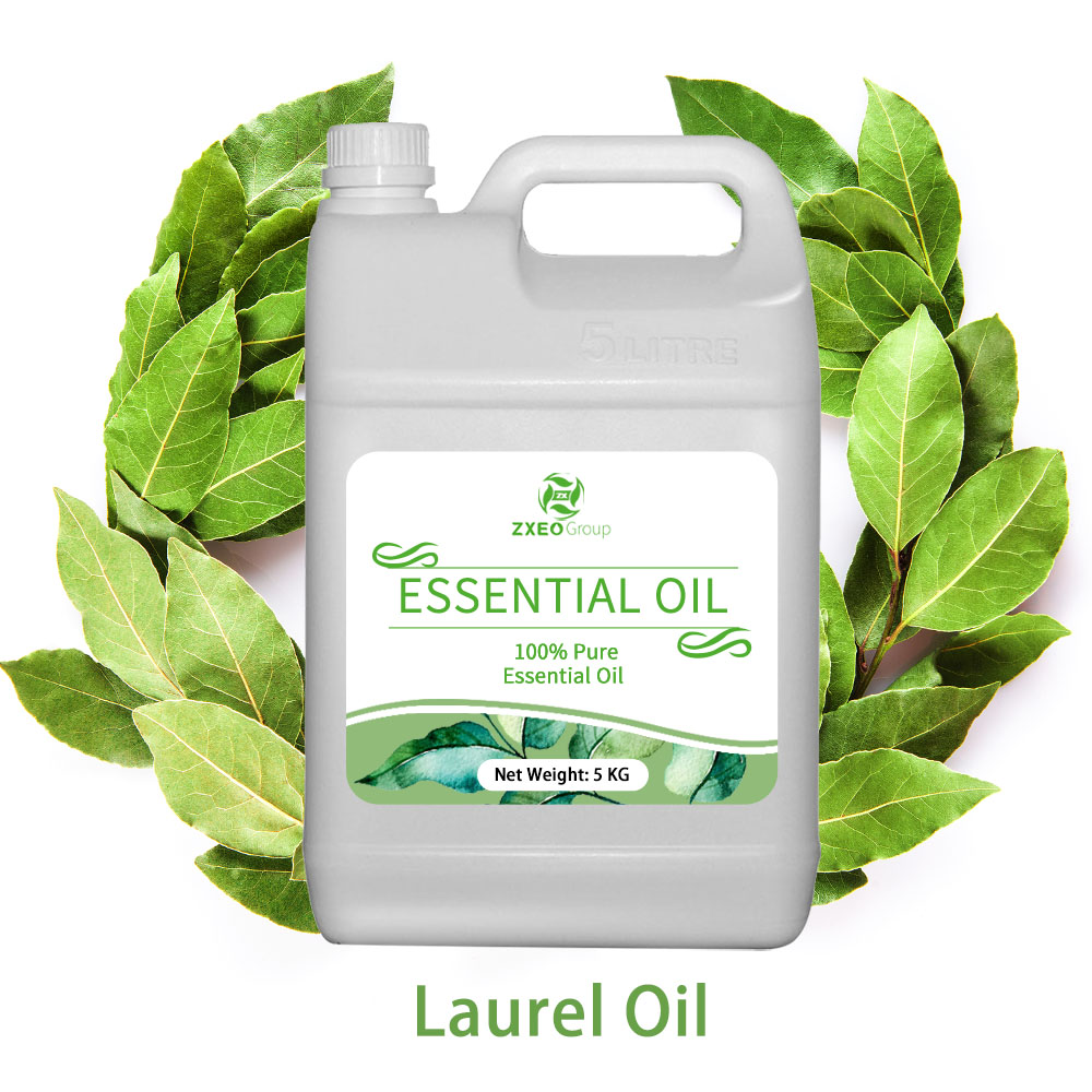 Laurel Oil 100% Pure Natural Essential oil Best Quality Bay Laurel Essential Oil For Skin