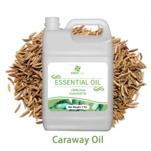 Caraway Essential Oil at Good Price Caraway Oil...