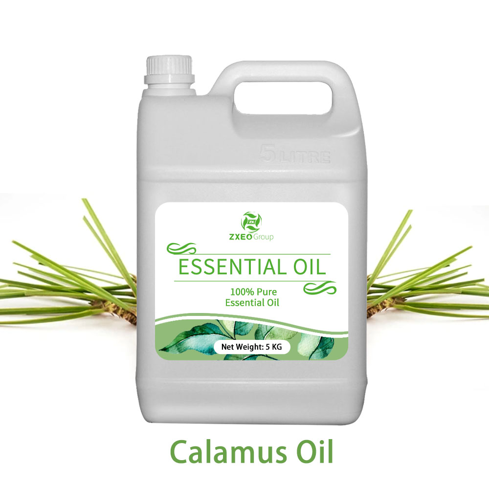Calamus Essential Oil Used to Make Incense Sticks at Wholesale Price Aromatherapy