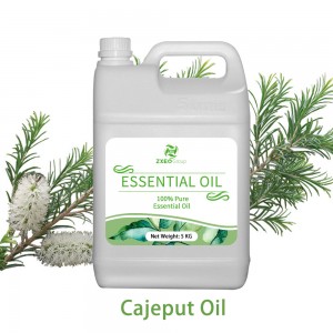 High Quality Cajeput Essential Oil for SPA Massage