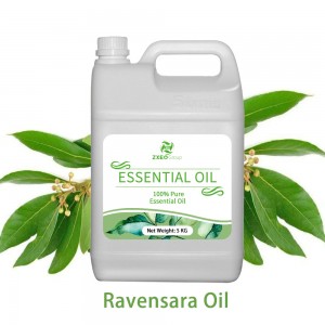 Ravensara essential oil Natural Aromatherapy Di...