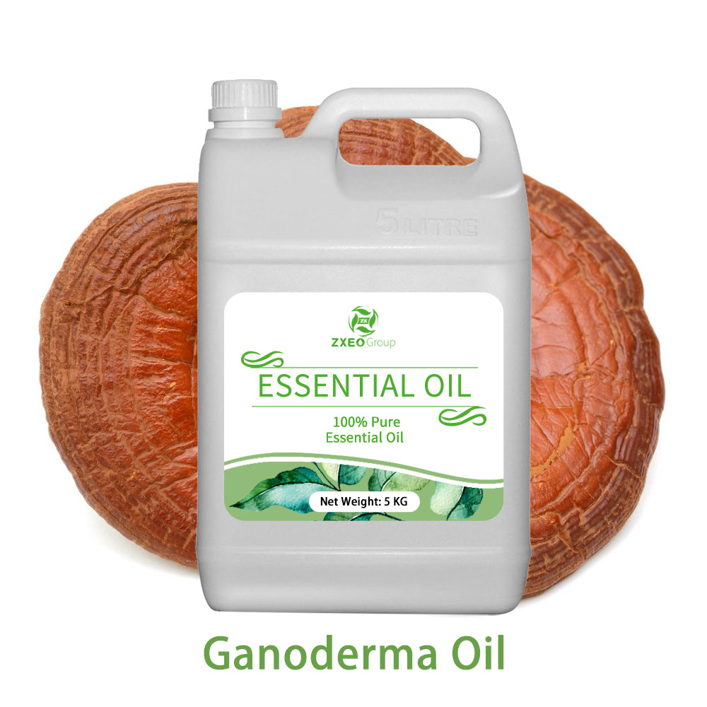 Ganoderma Essential Oil Lucidum Extract Chinese Supplier 100% Pure Natural