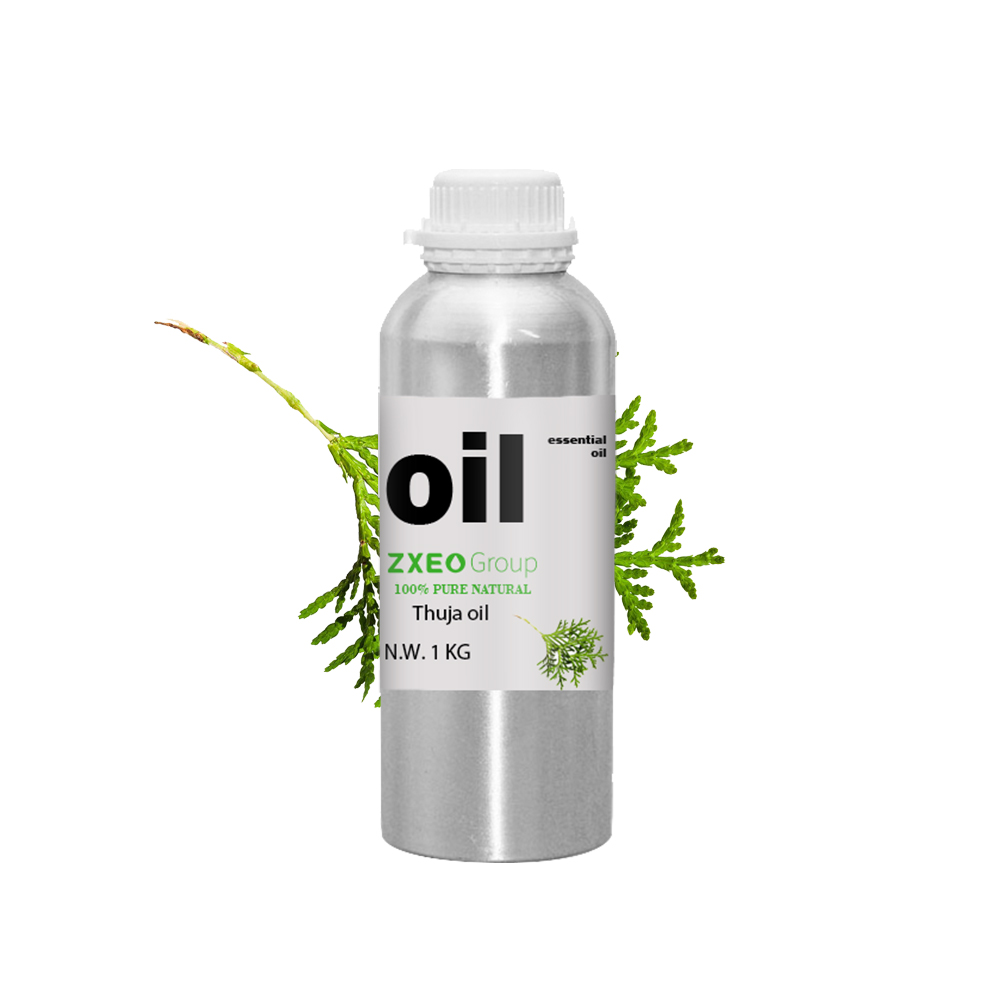 100% Pure and Natural Organic Steam Distilled Cedar Leaf Oil | Eastern White Cedar Oil  Thuja Oil Bulk Wholesale Price