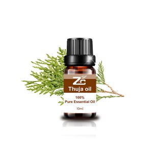 Pure Therapeutic Grade Thuja Oil for Aromathera...