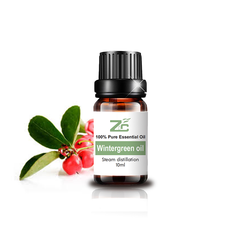 Natural pure Wintergreen Fragrance Oil Wintergreen Essential Oil price