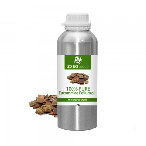 100% Pure Natural Eucommiae Foliuml Oil Essenti...