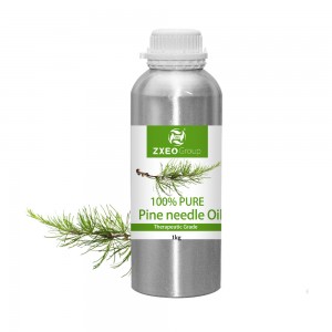 Pine Essential Oil New For Cosmetic Skincare Fr...