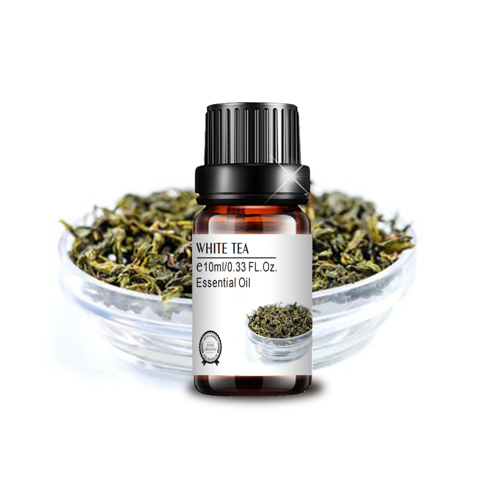 manufacturer supply 10ml white tea essential oil for aromatherapy