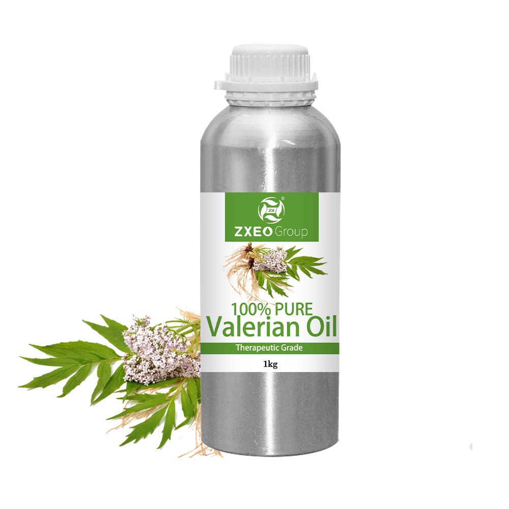 Factory Provide Best Valerian Essential Oil for Aromatherapy Bulk Price Valerian Oil