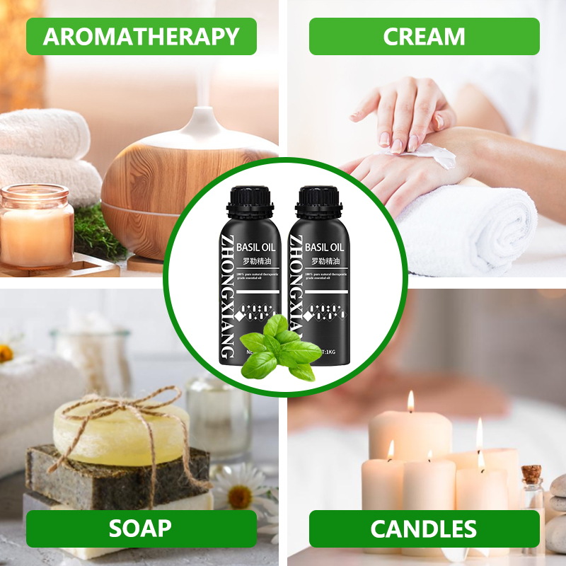 Natural Pure Organic Basil Oil massage Oil Basil body skin massage essential oil for home scent diffuser