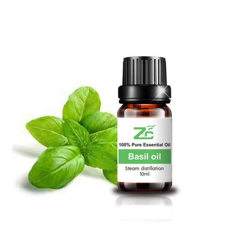 Hot Selling Best Quality Steam Distillation Natural Organic Basil Oil