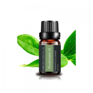 Popular Ravensara essential oil