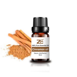 Natural pure cinnamon bark essential oil extrac...