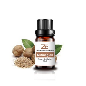 Pure Natural Nutmeg Essential Oil Extraction Pu...