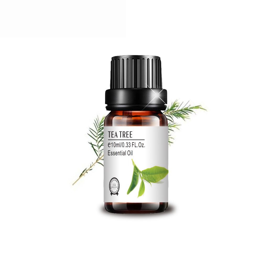 top quality pure therapeutic grade 10ml tea tree oil aromatherapy tea tree oil calming