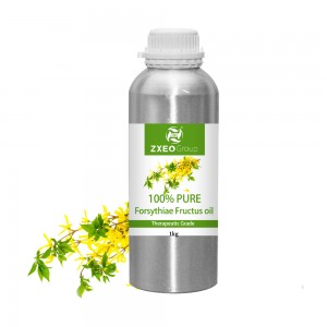 Wholesale bulk price 100% Pure Forsythiae Fruct...