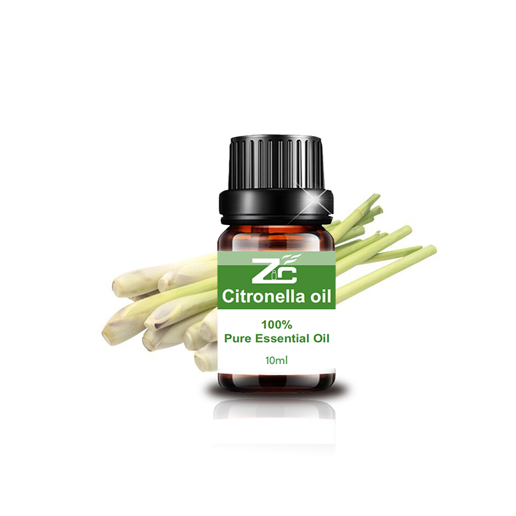 Pure and Natural Citronella Essential Oil For Aromatherapy, Massage