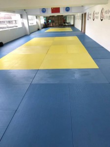 Judo mats  for martial arts exercise