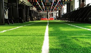 Artificial  grass 1m*1m outdoor use