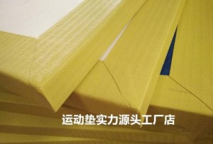 Judo mats  for martial arts exercise