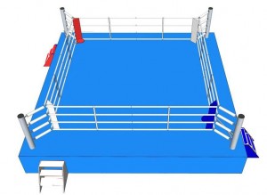 customized competition boxing ring canvas cover...