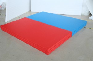1m*2m judo mats for martial arts training
