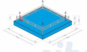 Professional Competition boxing ring 7.8m x7.8m